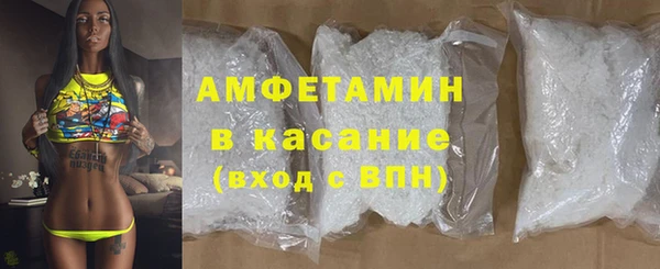 прущие грибы Аркадак