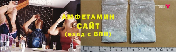 крисы Баксан