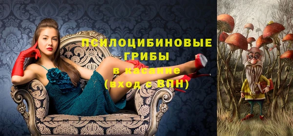 крисы Баксан