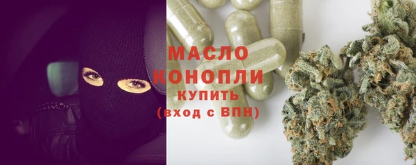 прущие грибы Аркадак