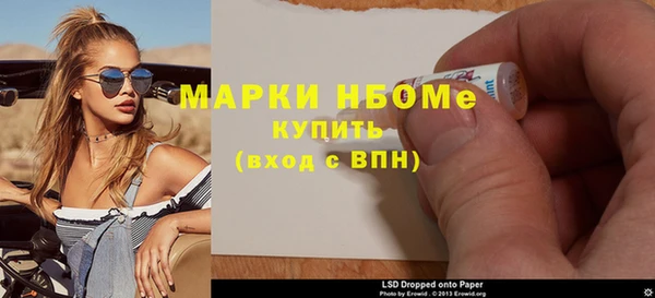 прущие грибы Аркадак