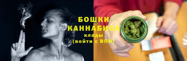 крисы Баксан