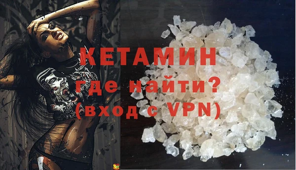 крисы Баксан