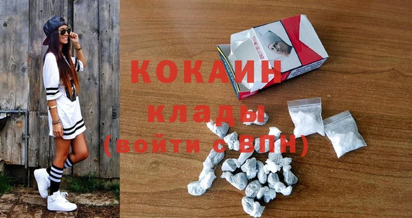 крисы Баксан