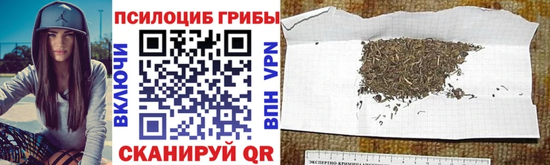 Галлюциногенные грибы прущие грибы  Красный Холм 
